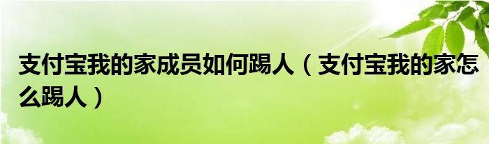 支付宝我的家成员如何踢人（支付宝我的家怎么踢人）