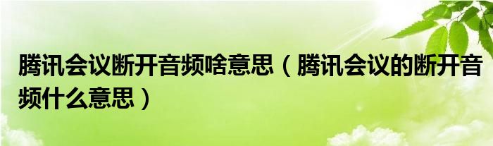 腾讯会议断开音频啥意思（腾讯会议的断开音频什么意思）