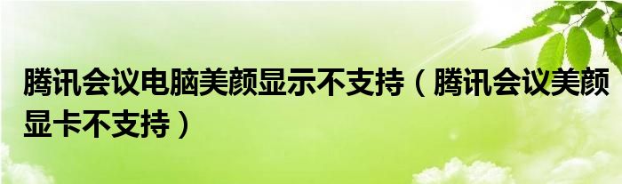 腾讯会议电脑美颜显示不支持（腾讯会议美颜显卡不支持）