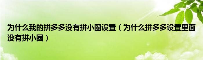 为什么我的拼多多没有拼小圈设置（为什么拼多多设置里面没有拼小圈）