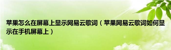 苹果怎么在屏幕上显示网易云歌词（苹果网易云歌词如何显示在手机屏幕上）