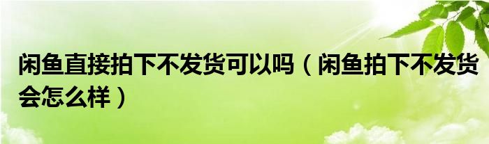 闲鱼直接拍下不发货可以吗（闲鱼拍下不发货会怎么样）