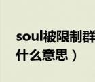 soul被限制群聊什么意思（soul被限制群聊什么意思）