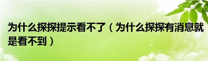 为什么探探提示看不了（为什么探探有消息就是看不到）