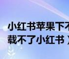 小红书苹果下不了怎么办（为什么苹果手机下载不了小红书）