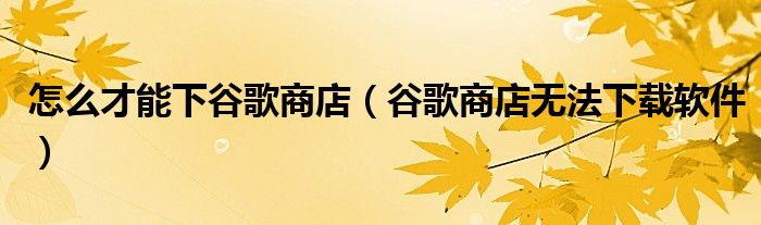 怎么才能下谷歌商店（谷歌商店无法下载软件）