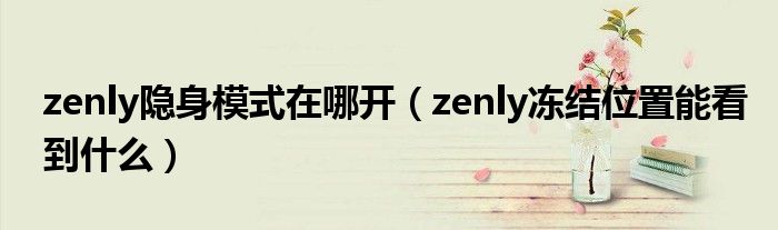 zenly隐身模式在哪开（zenly冻结位置能看到什么）