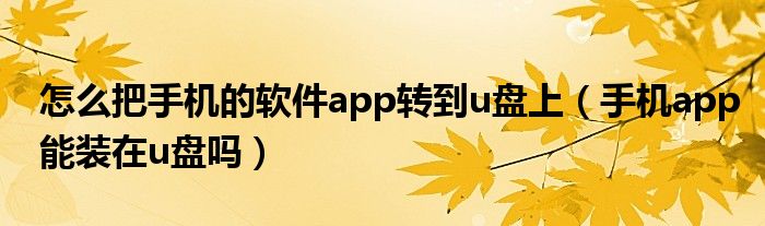 怎么把手机的软件app转到u盘上（手机app能装在u盘吗）