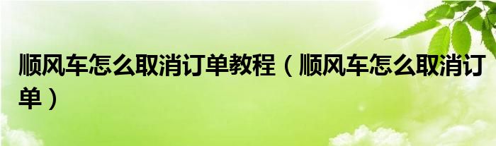 顺风车怎么取消订单教程（顺风车怎么取消订单）