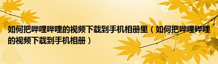 如何把哔哩哔哩的视频下载到手机相册里（如何把哔哩哔哩的视频下载到手机相册）