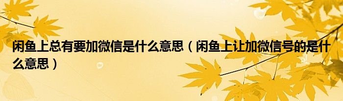 闲鱼上总有要加微信是什么意思（闲鱼上让加微信号的是什么意思）