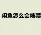 闲鱼怎么会被禁言（闲鱼被永久禁言了咋办）