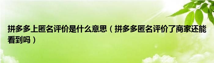 拼多多上匿名评价是什么意思（拼多多匿名评价了商家还能看到吗）