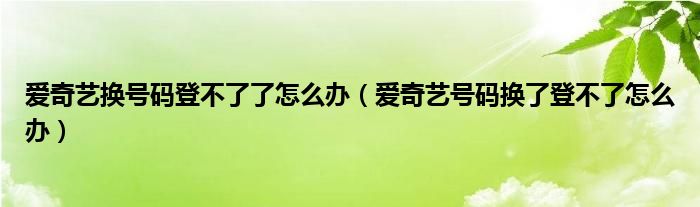 爱奇艺换号码登不了了怎么办（爱奇艺号码换了登不了怎么办）