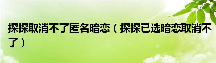 探探取消不了匿名暗恋（探探已选暗恋取消不了）