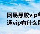 网易黑胶vip有什么区别（网易黑胶vip和普通vip有什么区别）