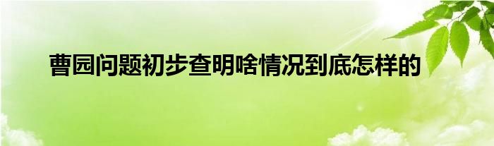 曹园问题初步查明啥情况到底怎样的