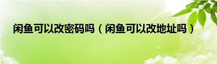 闲鱼可以改密码吗（闲鱼可以改地址吗）