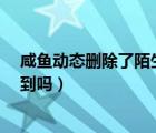 咸鱼动态删除了陌生人还能看见?（咸鱼动态删除别人能看到吗）