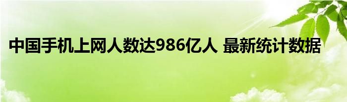 中国手机上网人数达986亿人 最新统计数据