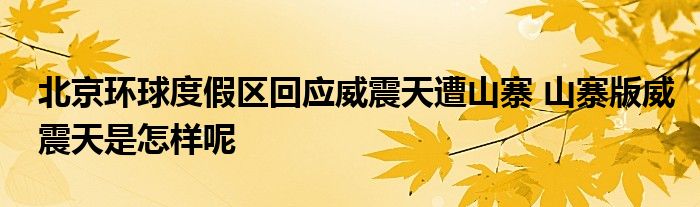 北京环球度假区回应威震天遭山寨 山寨版威震天是怎样呢