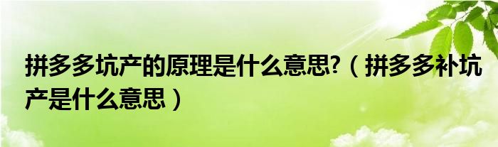 拼多多坑产的原理是什么意思?（拼多多补坑产是什么意思）