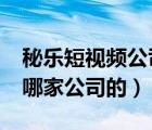 秘乐短视频公司现在怎么样?（秘乐短视频是哪家公司的）