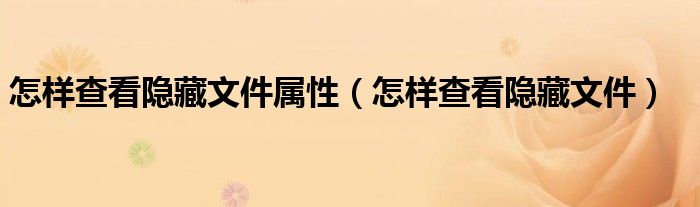 怎样查看隐藏文件属性（怎样查看隐藏文件）