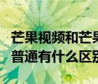 芒果视频和芒果tv的区别（芒果tv极速版设与普通有什么区别）