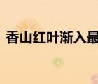 香山红叶渐入最佳观赏期 美不胜收宛若仙境