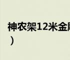 神农架12米金雕  什么是金雕竟有12米高（图）