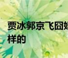 贾冰郭京飞囧妈啥情况贾冰郭京飞囧妈具体怎样的