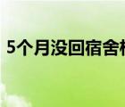 5个月没回宿舍柜子孵出4只小鸟 具体怎样的