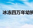 冰冻四万年幼狮怎样的这只幼狮年龄多大了