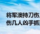 将军澳持刀伤人案 将军澳在香港什么地方受伤几人凶手抓到没