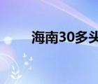 海南30多头牛被雷击中 具体啥情况