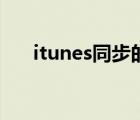 itunes同步的照片在哪（itunes同步）