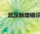 武汉新增确诊病例系医生 具体是啥情况