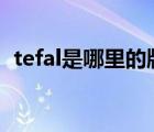 tefal是哪里的牌子（TEFAL特福品牌介绍）