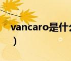 vancaro是什么牌子（万科VANKE品牌介绍）