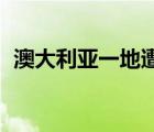 澳大利亚一地遭8万狐蝠入侵 场面十分骇人