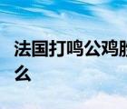 法国打鸣公鸡胜诉是怎样的案件具体情况是什么