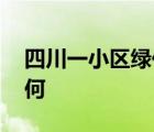 四川一小区绿化带发现男尸 目前调查情况如何