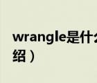 wrangle是什么牌子（Wrangler威格品牌介绍）