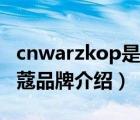 cnwarzkop是施华蔻吗（Schwarzkopf施华蔻品牌介绍）