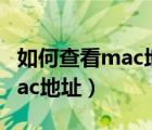 如何查看mac地址和硬盘序列号（如何查看mac地址）