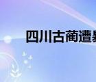 四川古蔺遭暴雨袭击 具体是啥情况呢