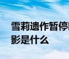 雪莉遗作暂停制作 为何暂停制作最后一部电影是什么