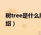 树tree是什么牌子（棵棵树COCTREE品牌介绍）