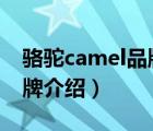 骆驼camel品牌旗舰店男鞋（骆驼CAMEL品牌介绍）